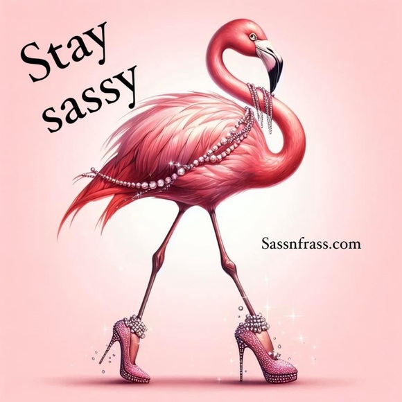 Meet your Posher, Tracey - Picture 7 of 7